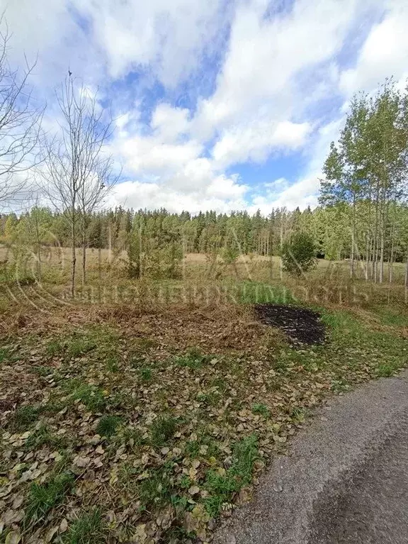 Участок в Ленинградская область, Выборгский район, Светогорское ... - Фото 2