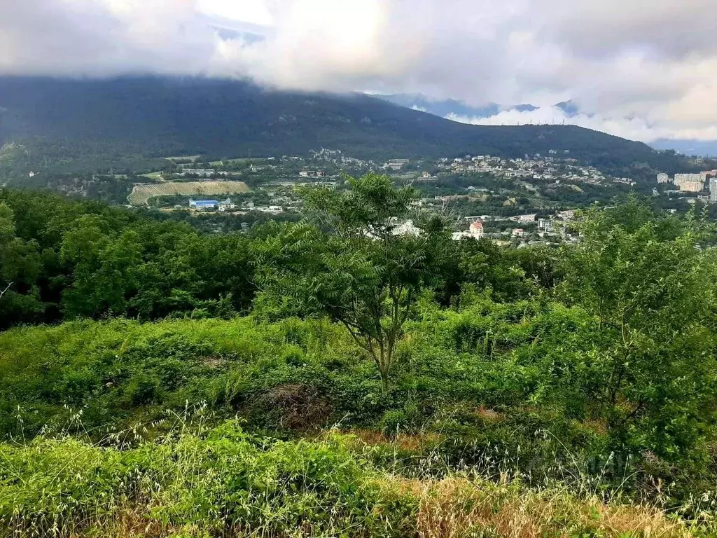 Участок в Крым, Ялта городской округ, Виноградное пгт ш. ... - Фото 1