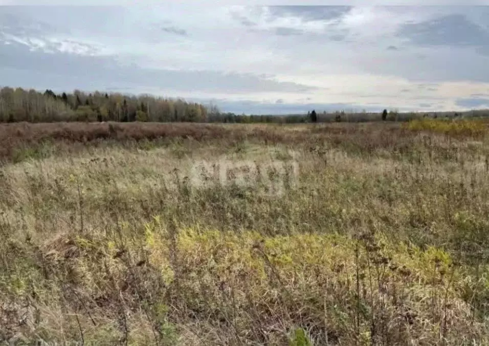 Участок в Вологодская область, Кирилловский муниципальный округ, д. ... - Фото 1