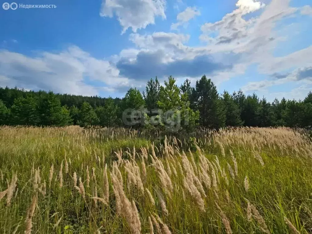 Участок в Поспеловское сельское поселение, посёлок Луговой (10 м) - Фото 1