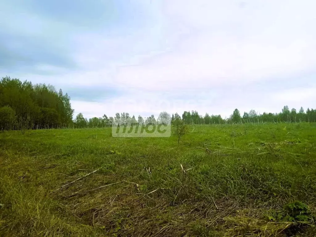 Участок в Ярославская область, Переславль-Залесский муниципальный ... - Фото 2