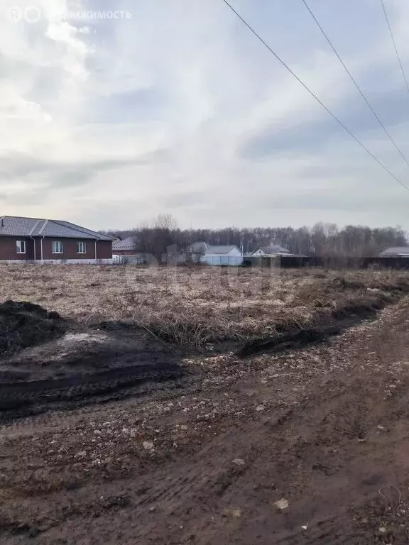 Участок в Толмачево, СДТ Содружество (12 м) - Фото 1