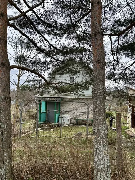 Дом в Тверская область, Ржевский муниципальный округ, Родничок СТ  (35 ... - Фото 1