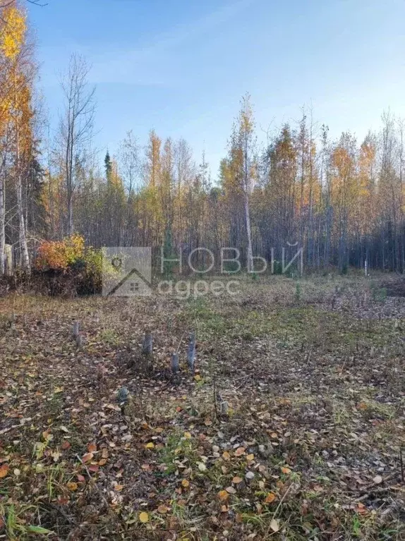 Участок в Ханты-Мансийский АО, Ханты-Мансийск Аграрник СОК,  (10.0 ... - Фото 0