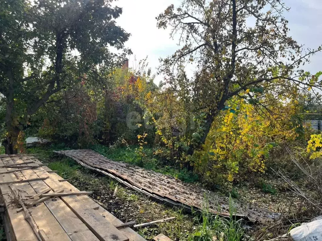 Участок в Тамбовская область, Тамбов ул. 2-я Линия, 11 (6.2 сот.) - Фото 2