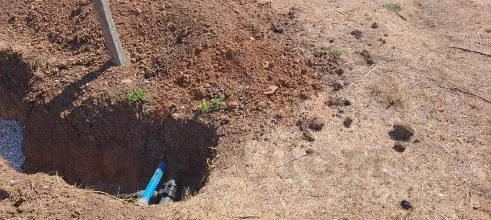 Участок в Крым, Сакский район, Ореховское с/пос, с. Михайловка, Пчелка ... - Фото 1