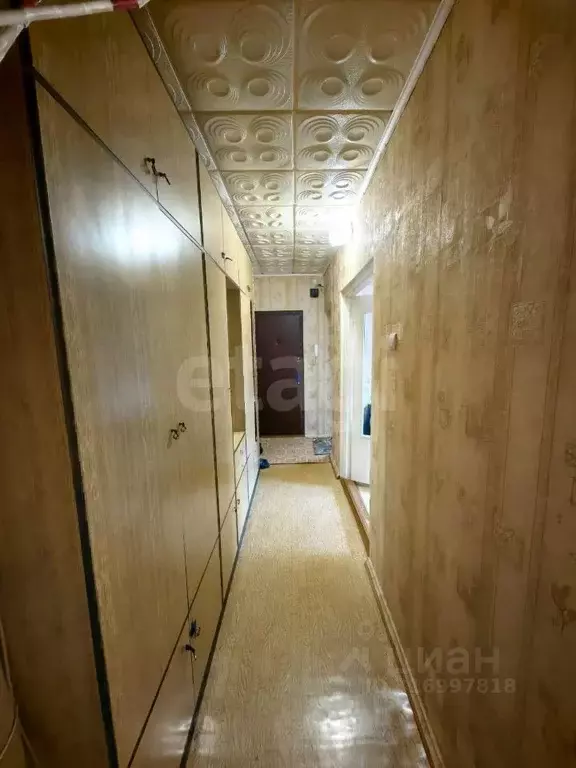 2-к кв. Владимирская область, Муром Ленинградская ул., 36/3 (55.0 м) - Фото 1