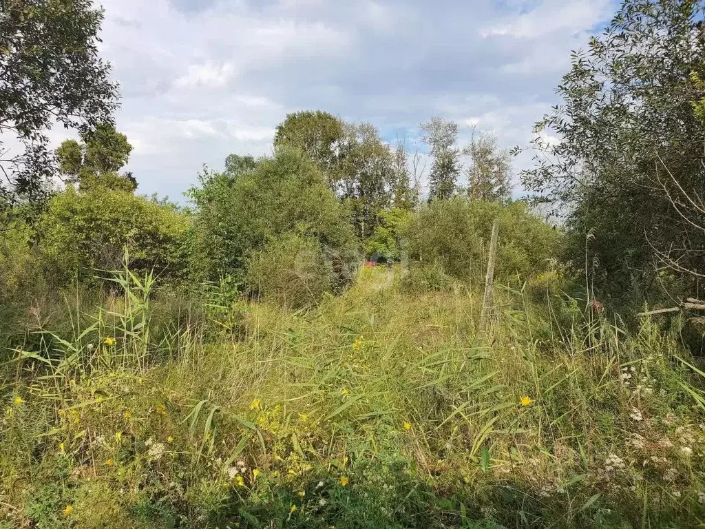 Участок в Еврейская автономная область, Смидовичский район, пос. ... - Фото 2