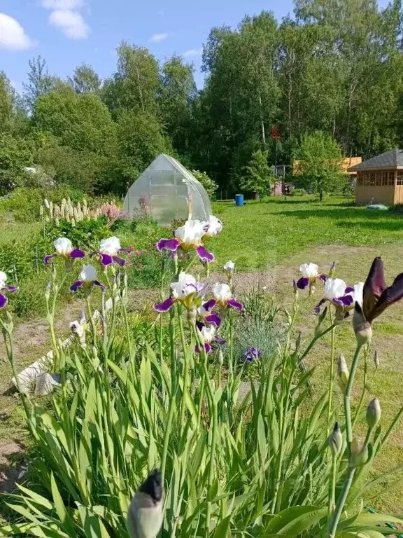 Дом в Вологодская область, Рассвет-С садоводческое товарищество 114 ... - Фото 2