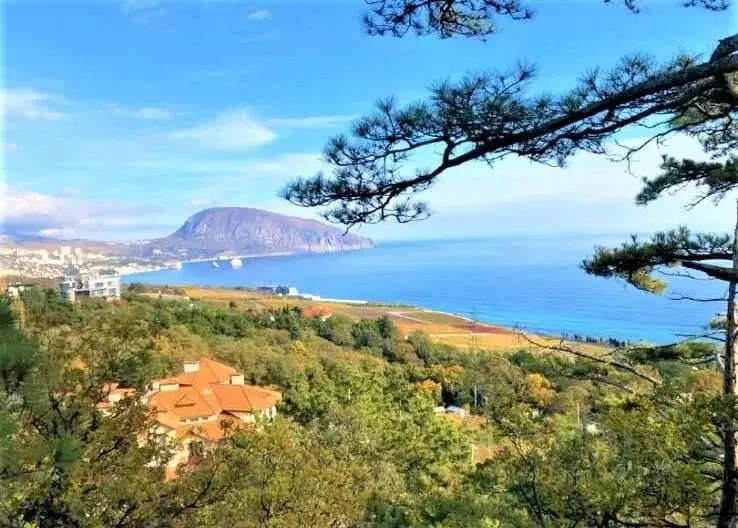 Дом в Крым, Ялта муниципальный округ, пос. Даниловка ул. Тенистая, 1Г ... - Фото 1