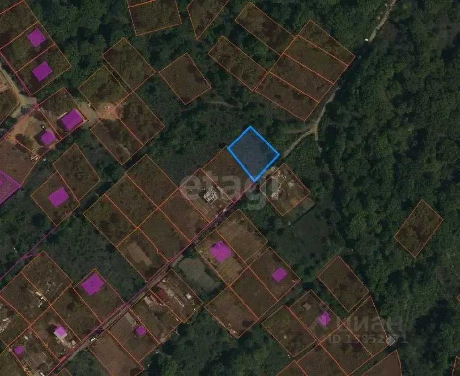 Участок в Приморский край, Артем Родник-1 СНТ, ул. Грибная (10.0 сот.) - Фото 1