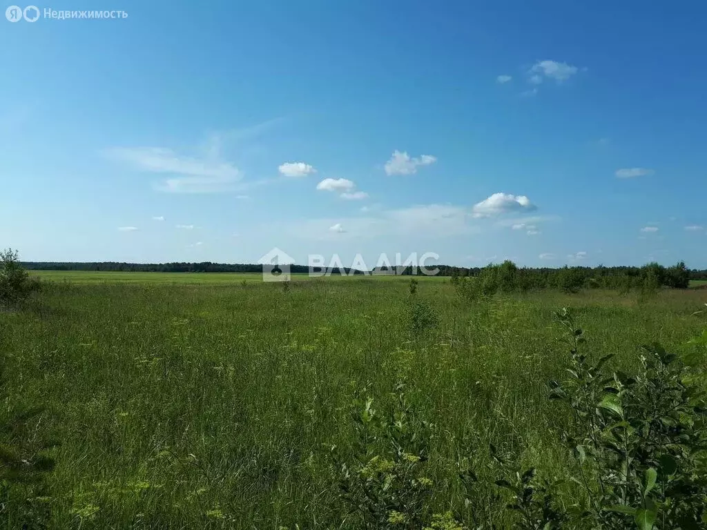 Участок в Мирный, Трактовая улица, 7 (100 м) - Фото 0