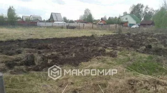 Участок в Новосибирская область, рабочий посёлок Ордынское, СНТ ... - Фото 1