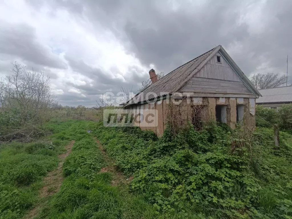 Участок в Краснодарский край, Щербиновский район, Старощербиновская ... - Фото 1