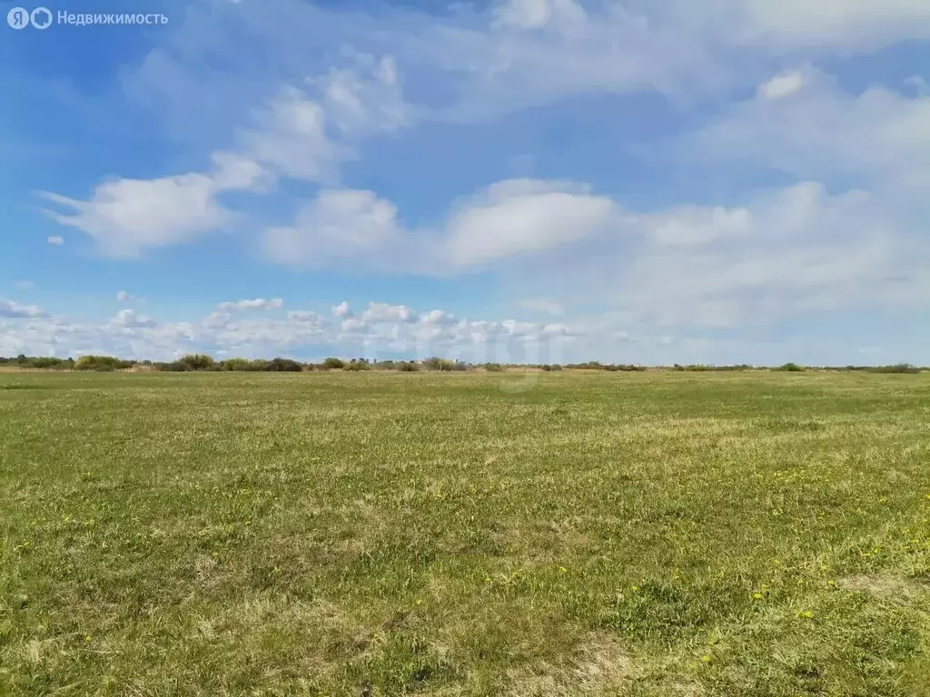 Участок в Тюмень (290 м) - Фото 2