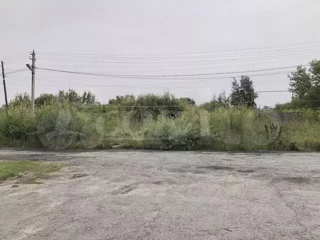 Участок 10 сот. (ИЖС) - Фото 0