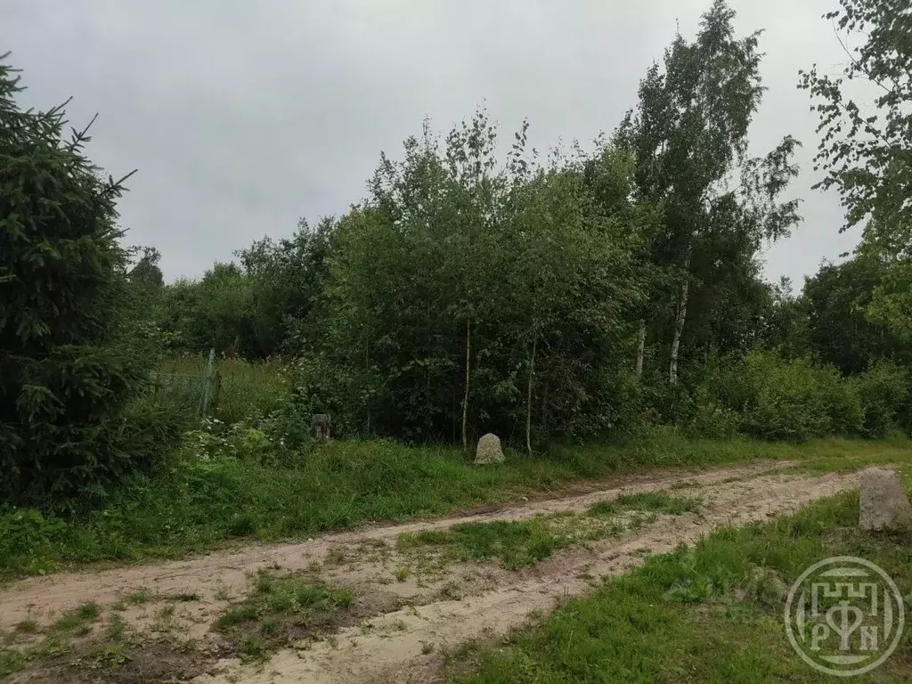 Участок в Ленинградская область, Приозерский район, Запорожское с/пос, ... - Фото 1