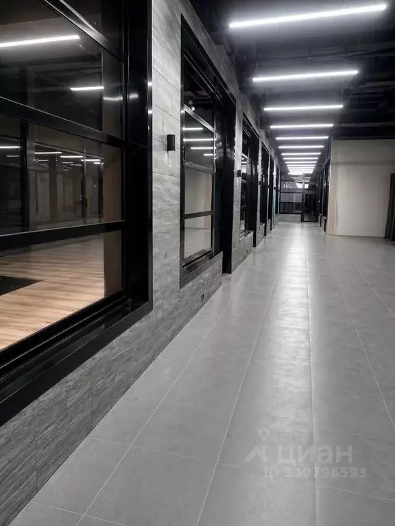 Помещение свободного назначения в Тамбовская область, Тамбов ул. ... - Фото 1