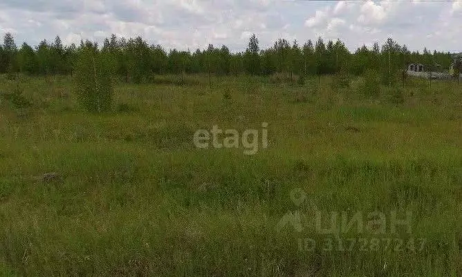 Участок в Свердловская область, Екатеринбург Зеленые Просторы ДНТ,  ... - Фото 1