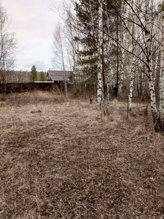 Участок 15 сот. (ИЖС) - Фото 1