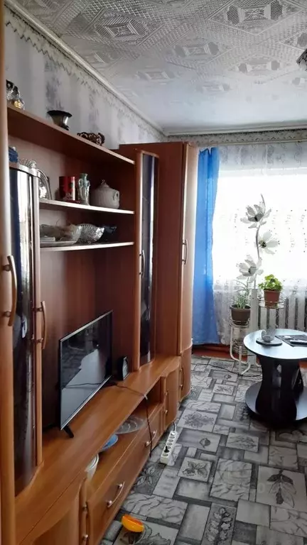 3-к кв. Омская область, Кормиловский район, с. Алексеевка ул. 60 лет ... - Фото 1