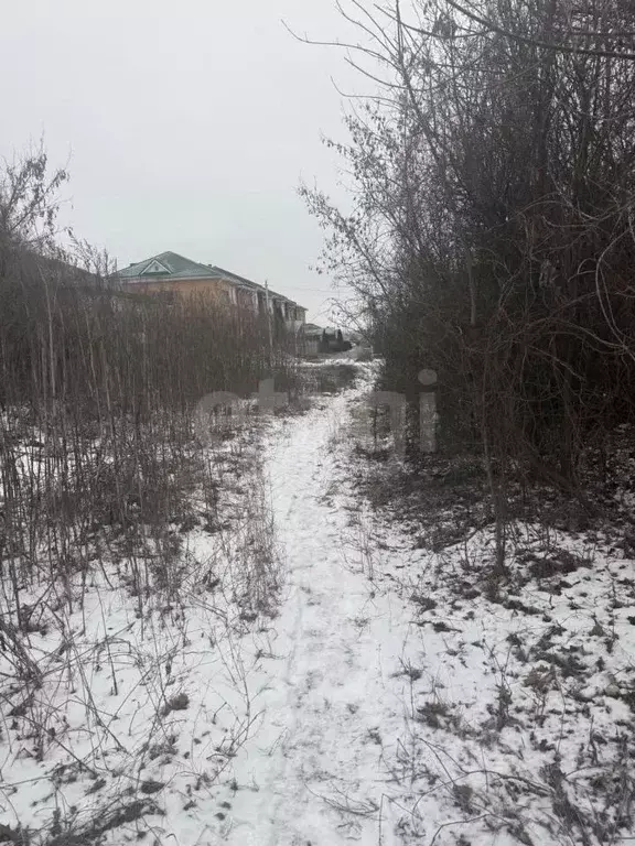 Участок в Белгородская область, Губкин Горняк-Мичуринец СТ, 11 (6.0 ... - Фото 1