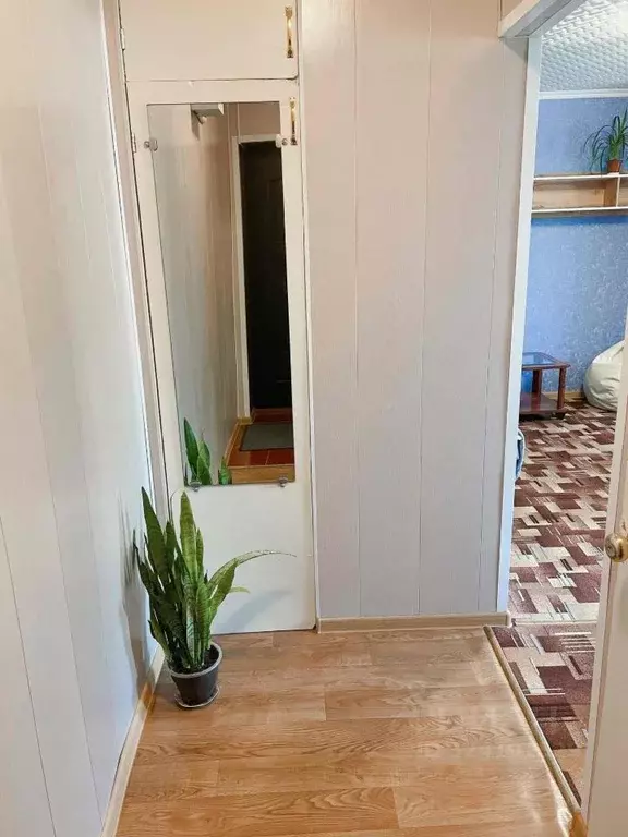 1-к кв. Камчатский край, Петропавловск-Камчатский ул. Максутова, 36А ... - Фото 2