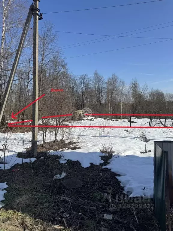 Участок в Московская область, Клин городской округ, д. Елгозино  (25.0 ... - Фото 2