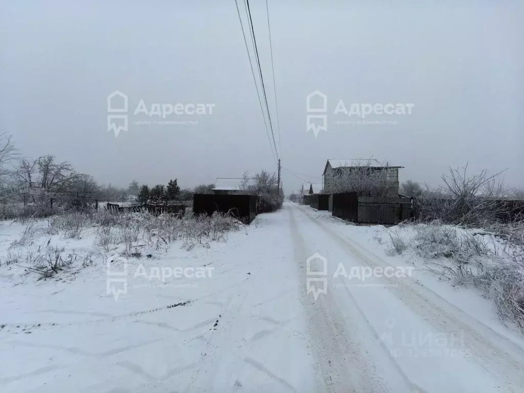 Участок в Волгоградская область, Городищенский район, Царицынское ... - Фото 2