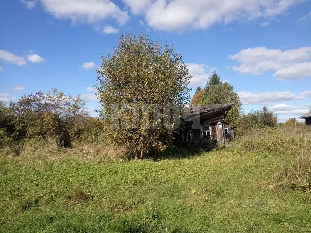 Участок в Вологодская область, Сокольский муниципальный округ, д. ... - Фото 1