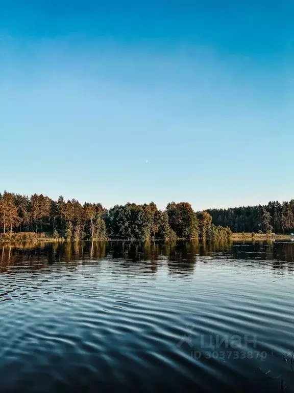 Участок в Московская область, Солнечногорск городской округ, с. ... - Фото 1