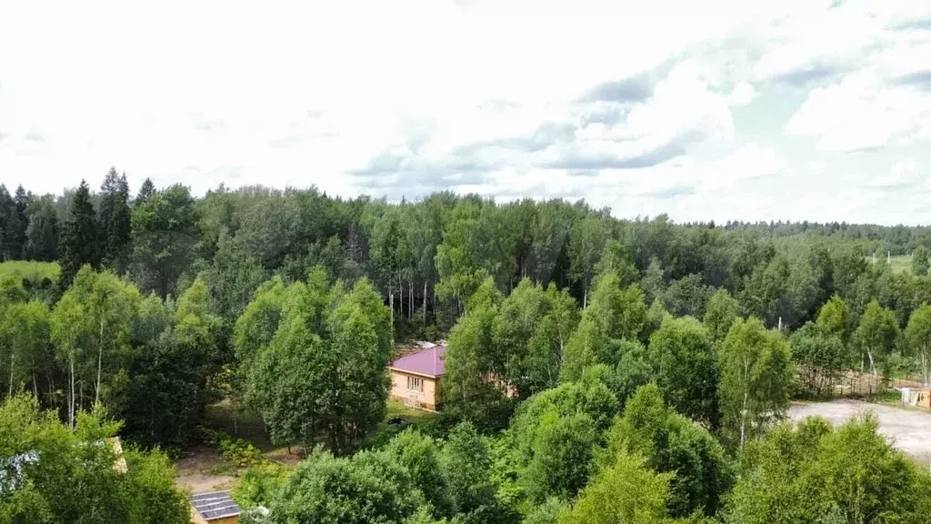 Участок 6 сот. (СНТ, ДНП) - Фото 1