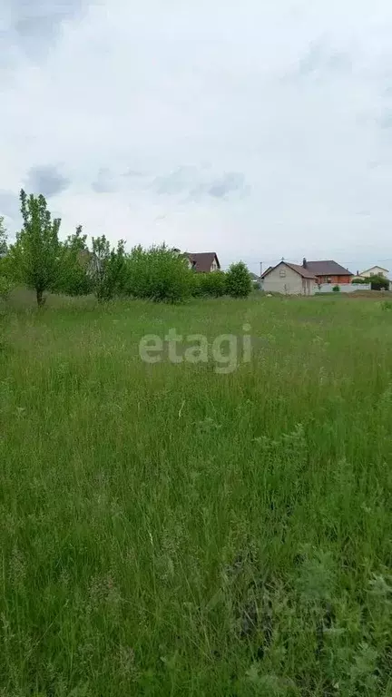 Участок в Белгородская область, Яковлевский городской округ, с. ... - Фото 0