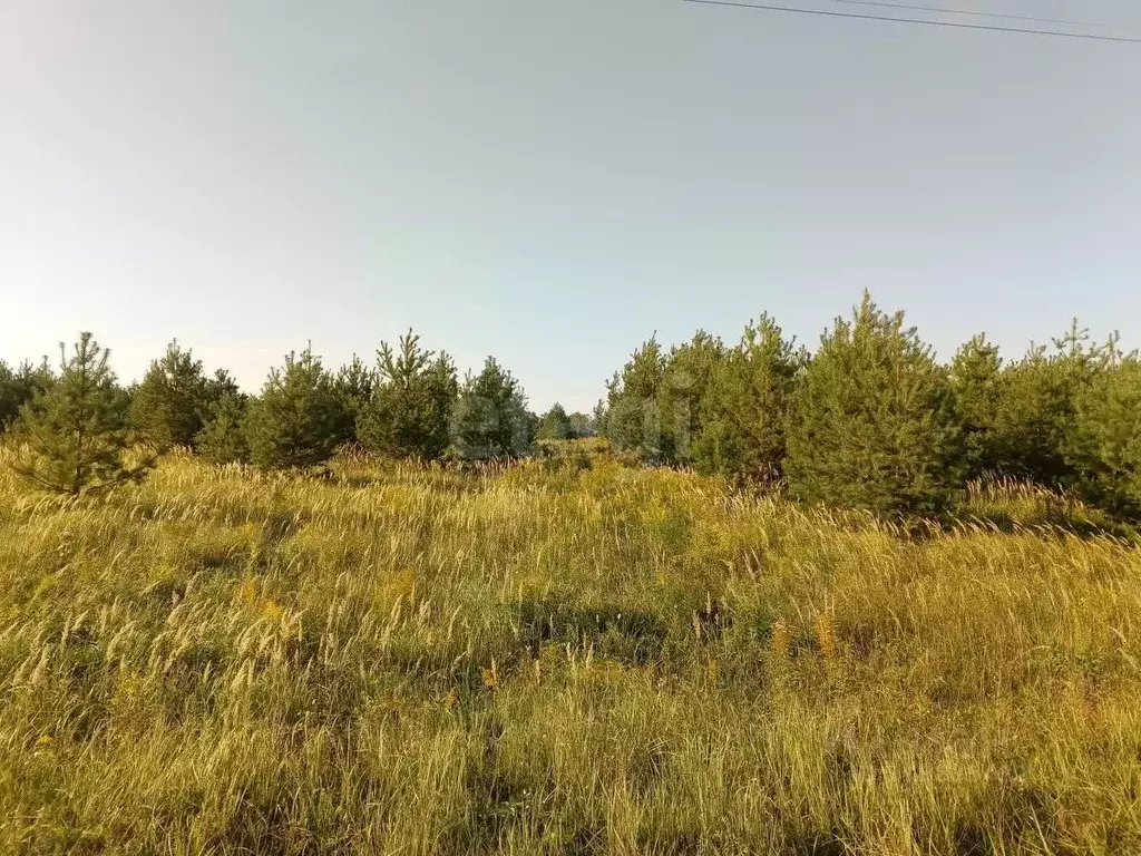 Участок в Калужская область, Жуковский район, Тростье с/пос, с. ... - Фото 2