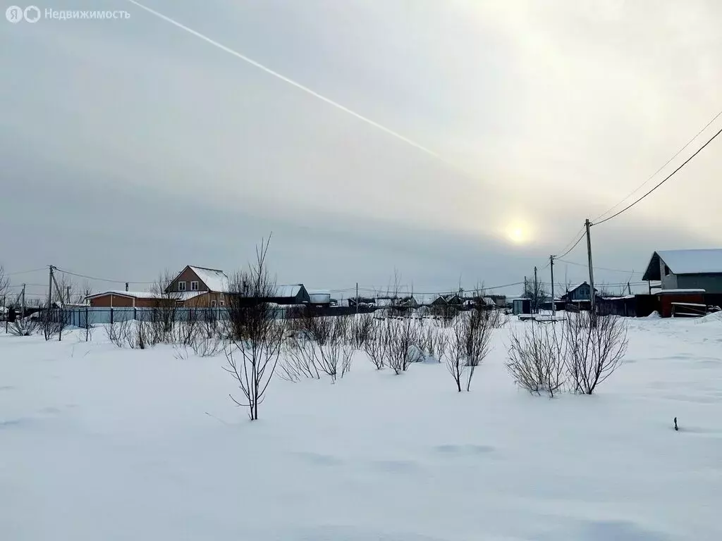Участок в Ленинградская область, Гатчинский муниципальный округ, ... - Фото 2
