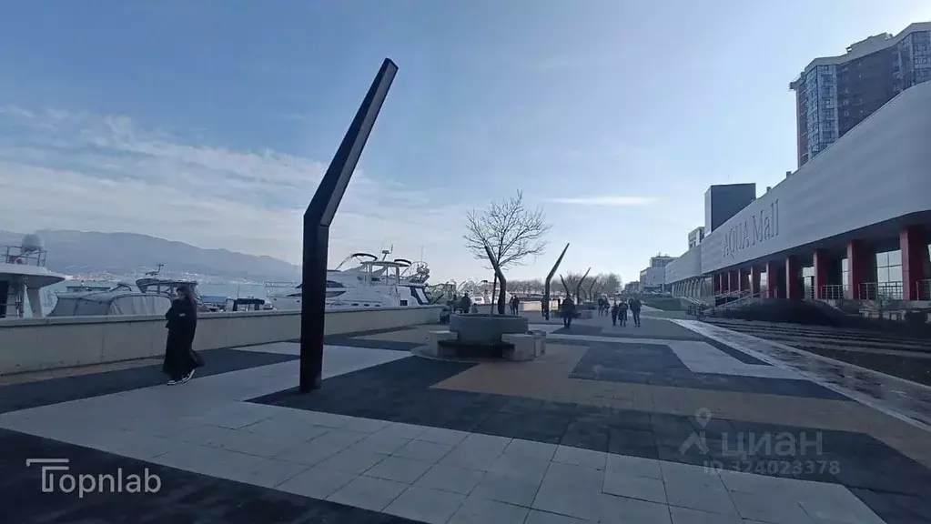 Помещение свободного назначения в Краснодарский край, Новороссийск ... - Фото 1