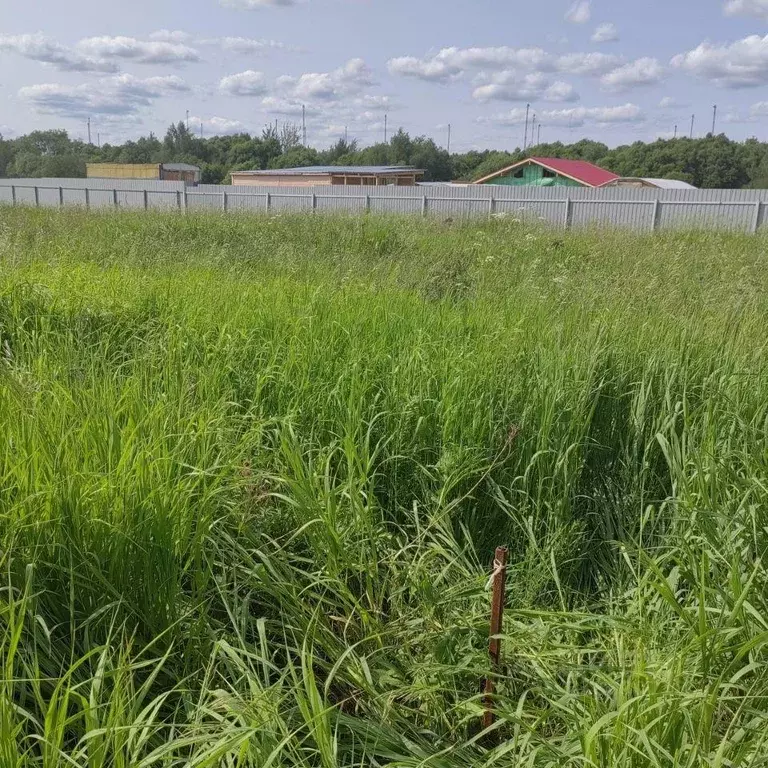 Участок, 6 сот., фермерское хоз-во - Фото 1