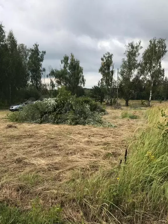 Участок 15 сот. (ИЖС) - Фото 0
