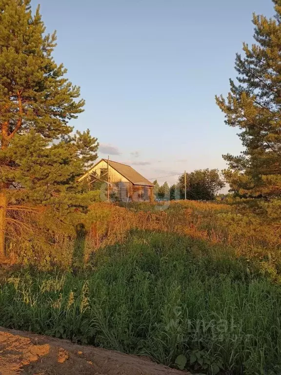 Участок в Вологодская область, д. Филисово  (33.0 сот.) - Фото 1