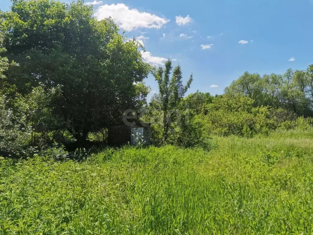 Дом в Тульская область, Алексин городской округ, д. Замарино  (40 м) - Фото 0