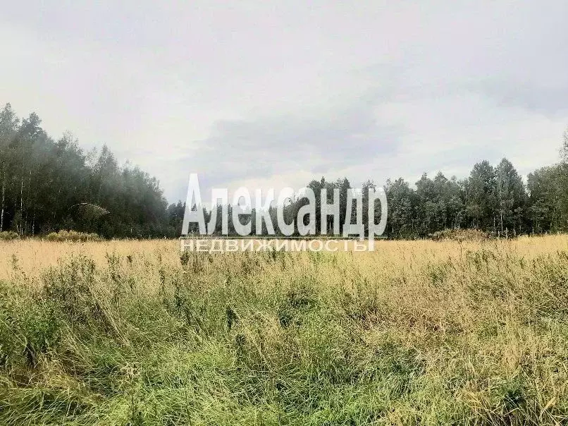 Участок в Ленинградская область, Приозерский район, Мельниковское ... - Фото 1