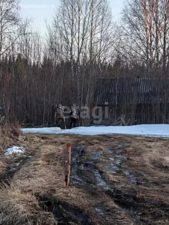 Участок в Республика Коми, городской округ Сыктывкар, посёлок Верхний ... - Фото 1