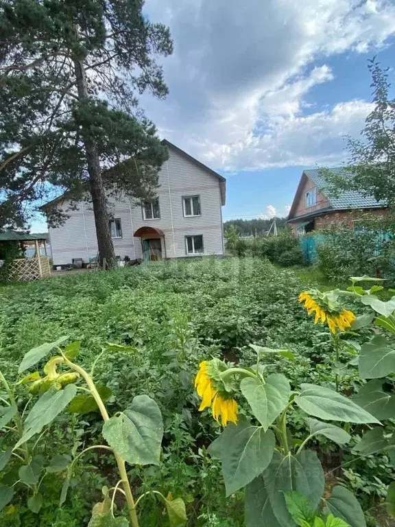 Дом в Забайкальский край, Чита Сенная Падь мкр,  (261 м) - Фото 1