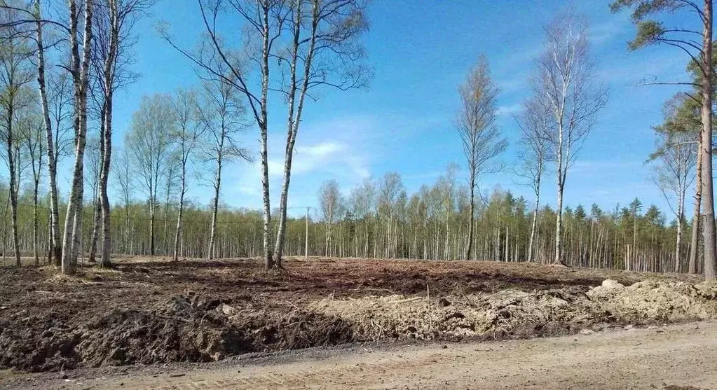 Участок в Ленинградская область, Всеволожский район, Токсовское ... - Фото 1