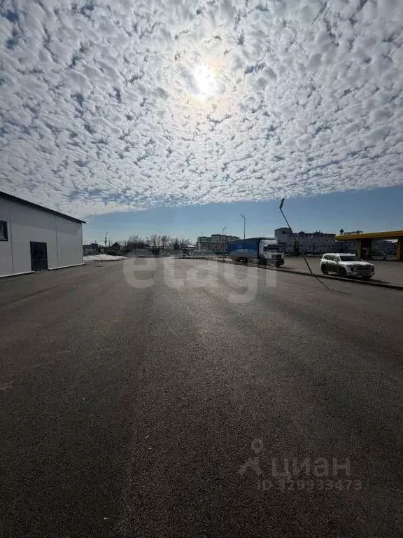 Помещение свободного назначения в Курганская область, Курган ул. ... - Фото 1