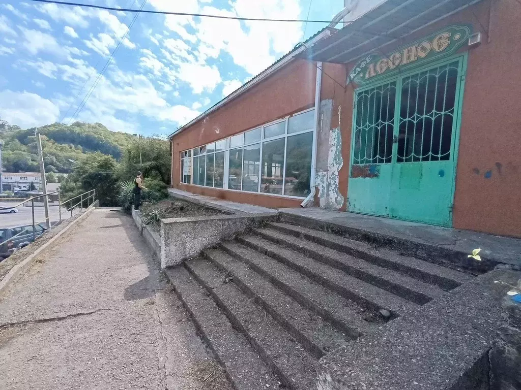 Помещение свободного назначения в Краснодарский край, Туапсе ул. ... - Фото 2