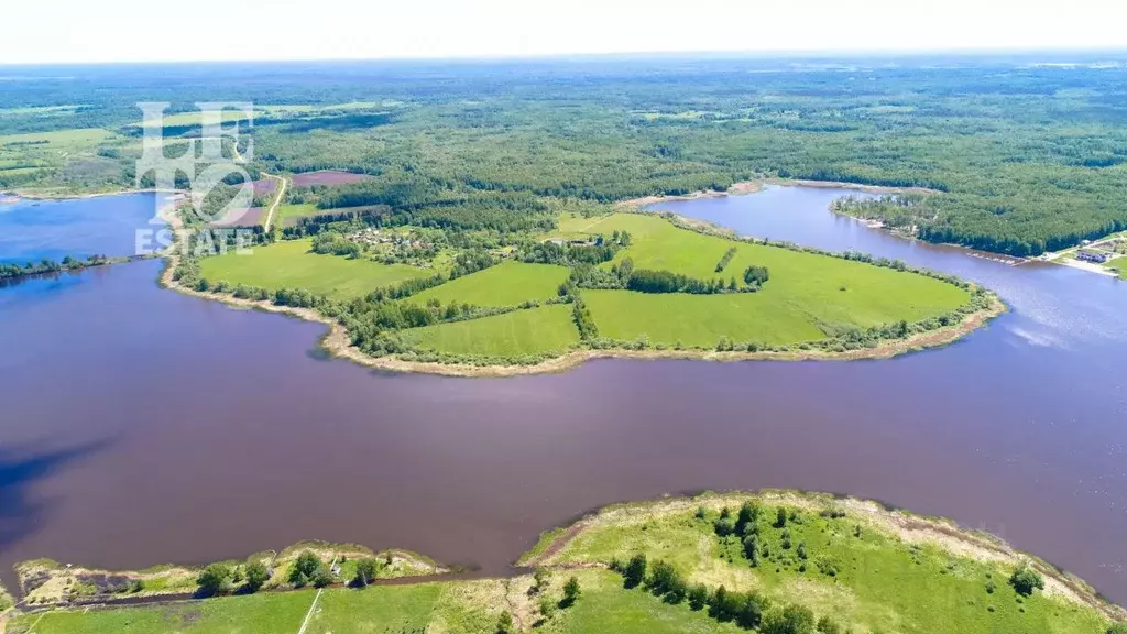 Участок в Ярославская область, Угличский муниципальный округ, д. ... - Фото 2