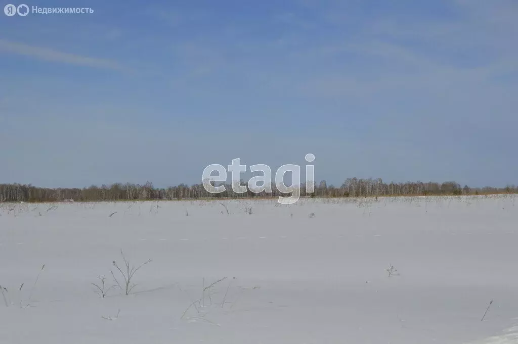 Участок в Усть-Ницинское сельское поселение (20.09 м) - Фото 0
