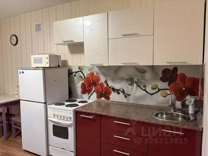 1-к кв. Красноярский край, Красноярск Николаевка мкр, ул. 2-я ... - Фото 1