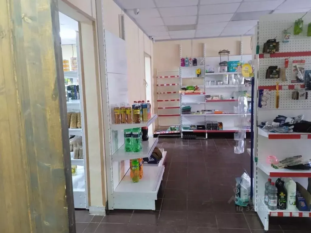 Помещение свободного назначения в Удмуртия, Ижевск ул. Е.М. ... - Фото 1